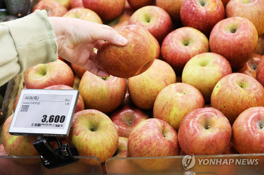서울 시내 한 대형마트에서 고객이 사과를 고르고 있다. 연합뉴스